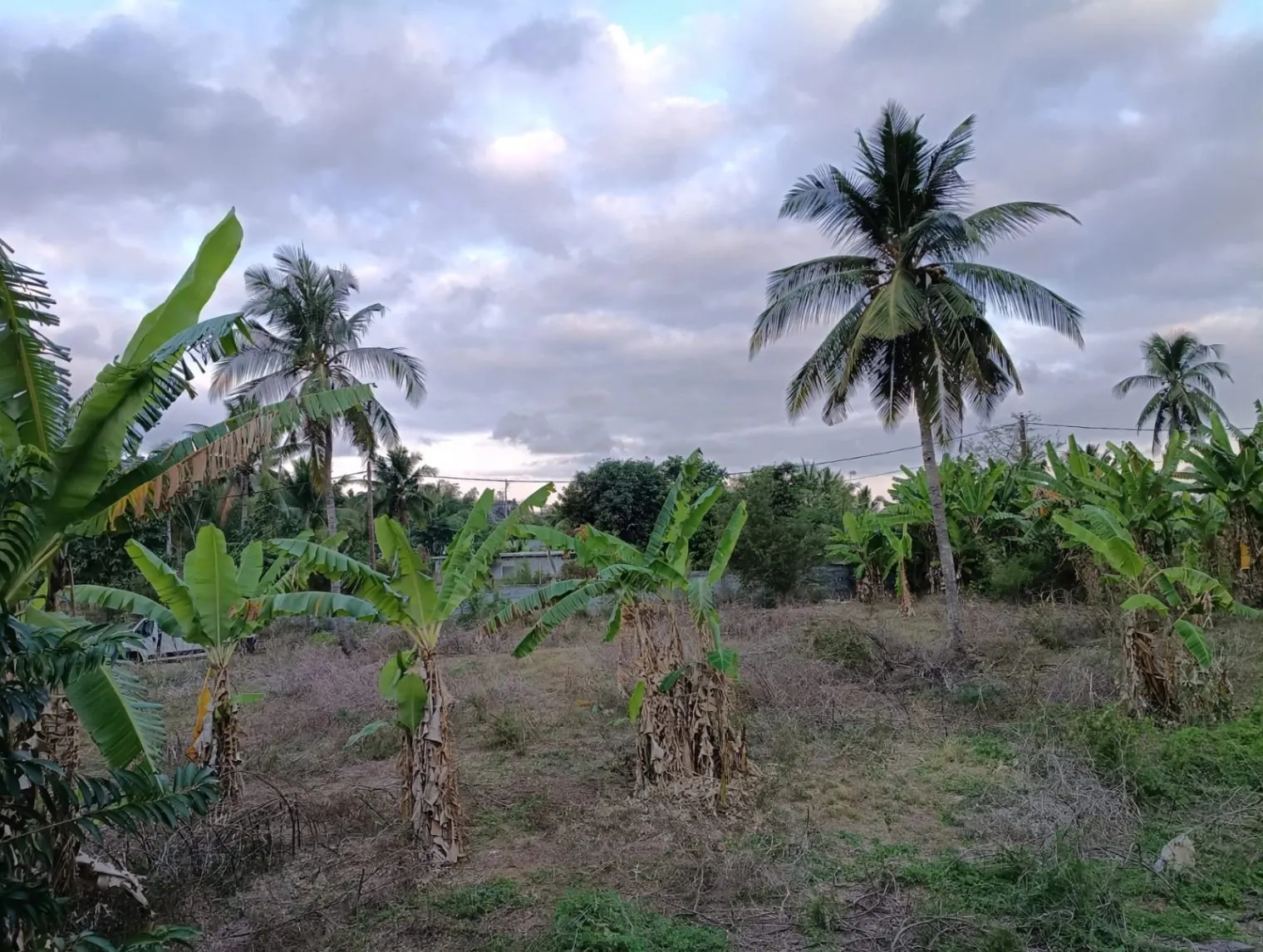 Photo 2/3 — Photo de l'annonce : LOUER – TERRAIN NU DE 714 m2 À TSOUNZOU — Mamoudzou · Tsoundzou 1 (Immobilier)